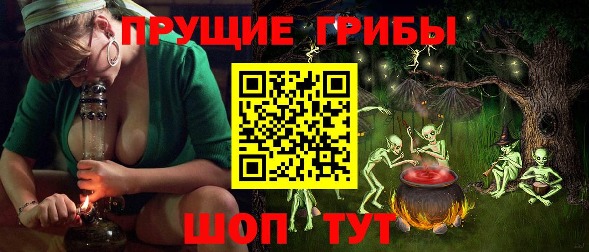 Псилоцибиновые грибы GOLDEN TEACHER Кирово-Чепецк